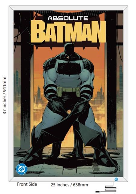 DC Light Up Poster Frame With Three Absolute Acetate Posters (11/25/2026) Dc
