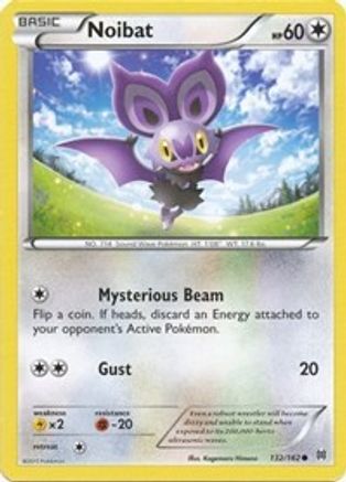Noibat 132/162 - XY BREAKthrough