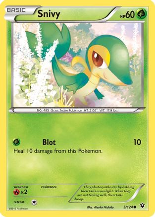 Snivy 005/124 - XY Fates Collide Reverse Holofoil