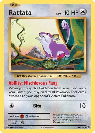 Rattata 066/108 - XY Evolutions Reverse Holofoil