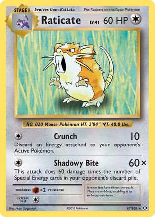 Raticate 067/108 - XY Evolutions