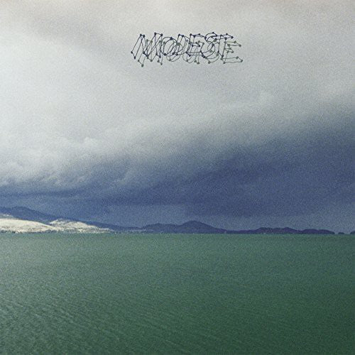 Modest Mouse - Fruit That Ate Itself (Vinyl LP)