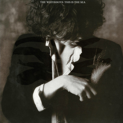 The Waterboys - This Is the Sea (Vinyl LP)