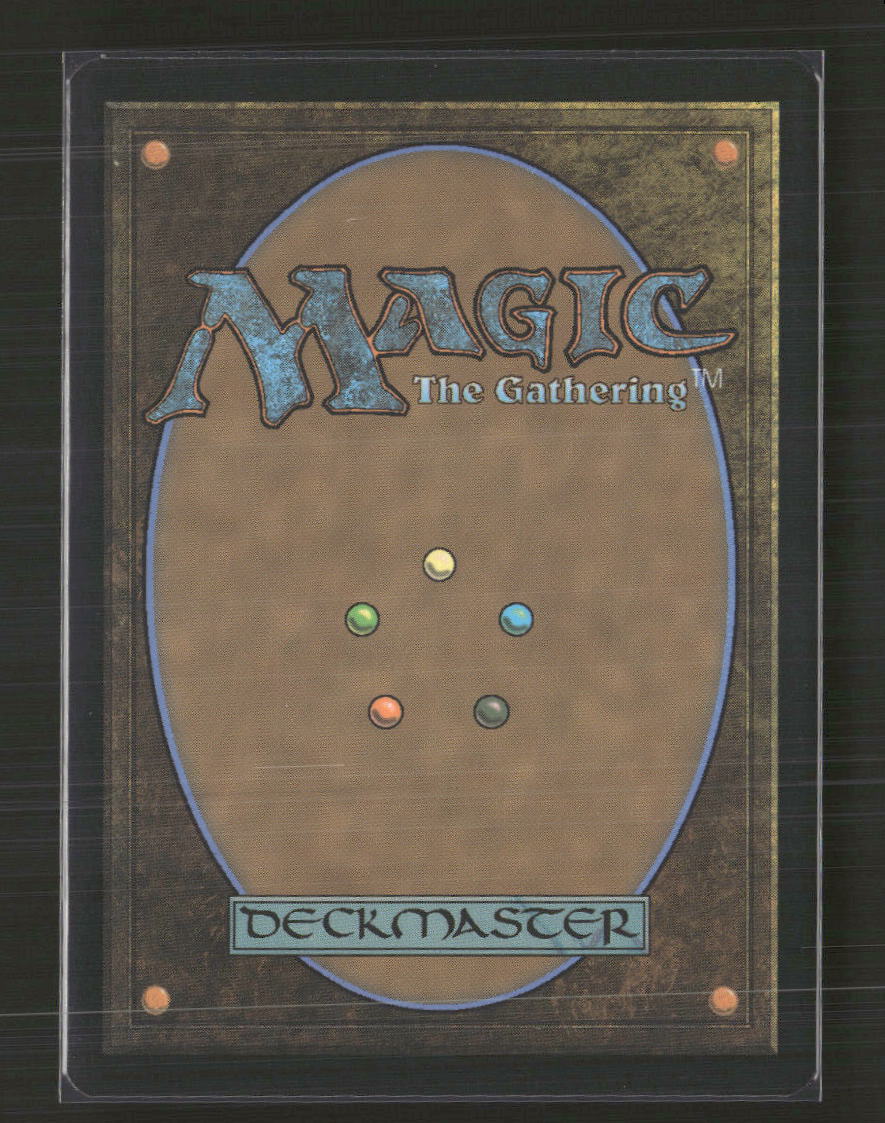 Avatar: The Last Airbender Appa, Steadfast Guardian #10