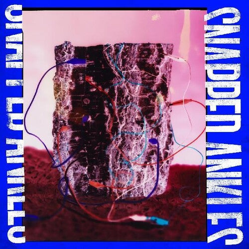 Snapped Ankles - Forest Of Your Problems (the Protester Edition) (Indie Exclusive Vinyl)