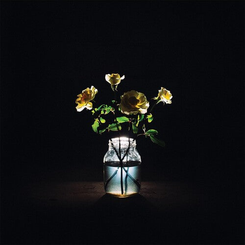 Billy Strings - Renewal (Vinyl LP)