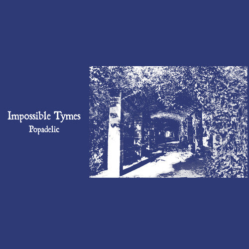 Impossible Tymes - Popadelic - Golden Apple Comics