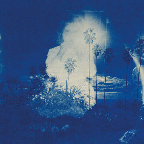 Fruit Bats - A River Running to Your Heart (IEX) (Indie Exclusive Vinyl)