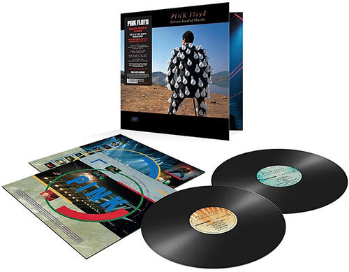 Pink Floyd - Delicate Sound Of Thunder (Vinyl LP)