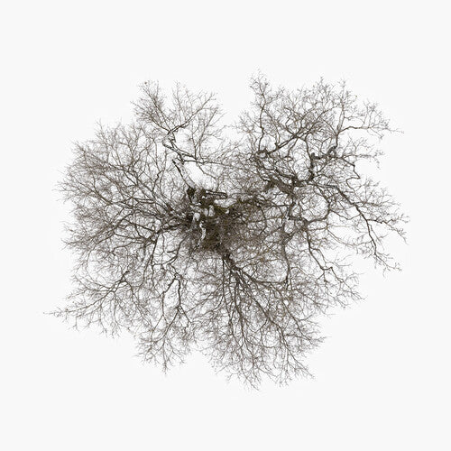 John Metcalfe - Tree (Vinyl LP)