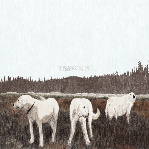 Foxing - The Albatross: Ten Years (Vinyl LP)