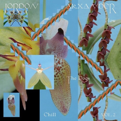 Jordon Alexander - How The Dogs Chill, Vol. 2 (Vinyl LP)