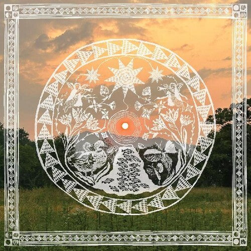 Daniel Bachman - When The Roses Come Again (Vinyl LP)