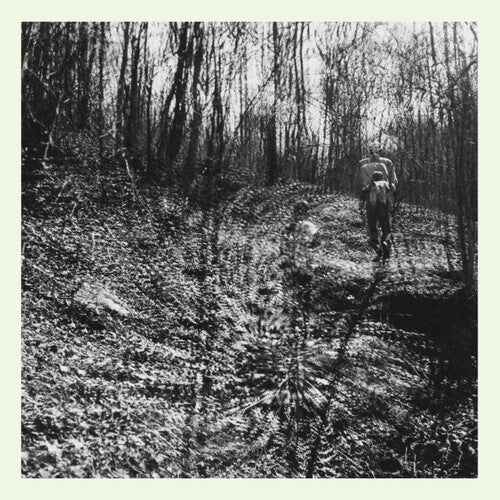 Topographies - Interior Spring (Vinyl LP)