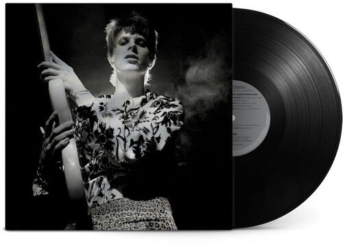 David Bowie - Rock N Roll Star (Vinyl LP)