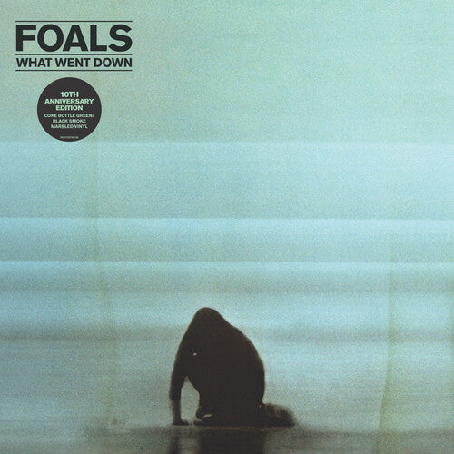 Foals - What Went Down (Anniversary Edition)