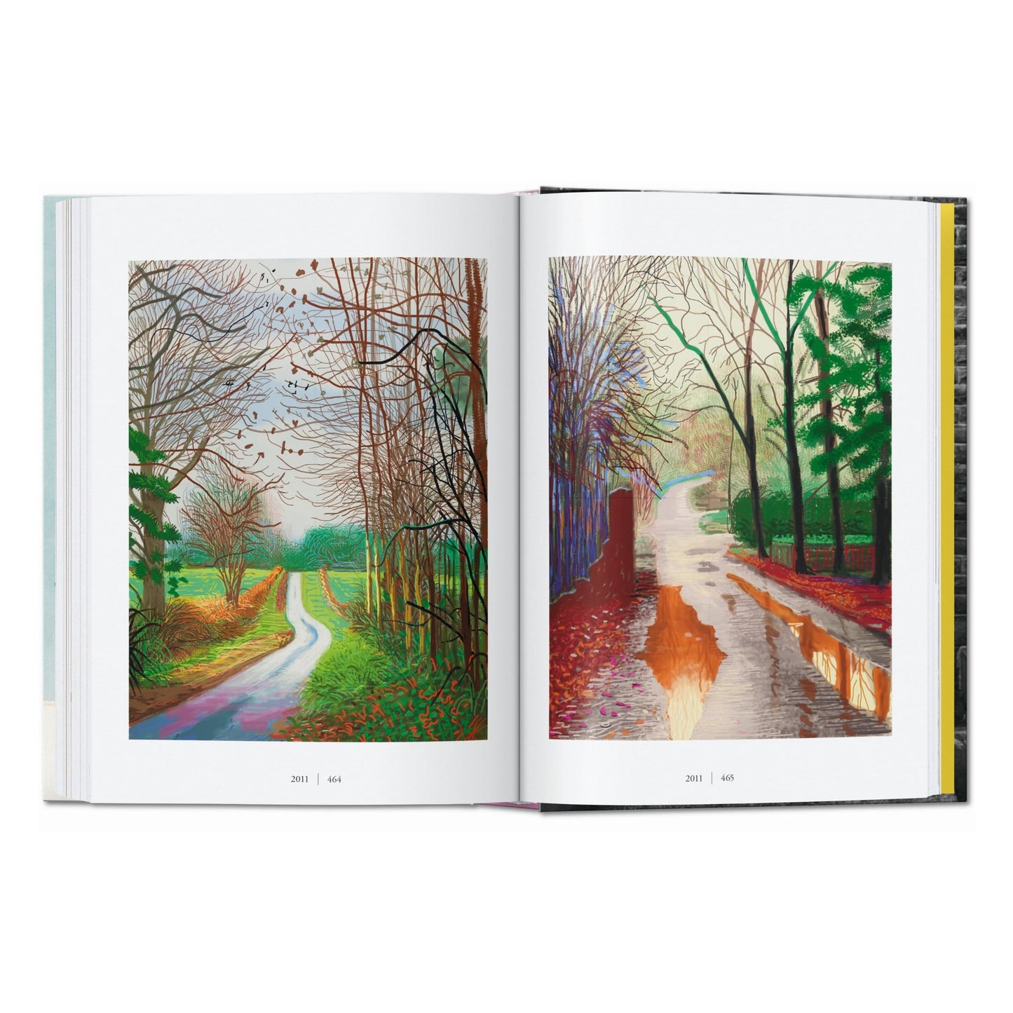 David Hockney. A Chronology. 45th Ed. (English)