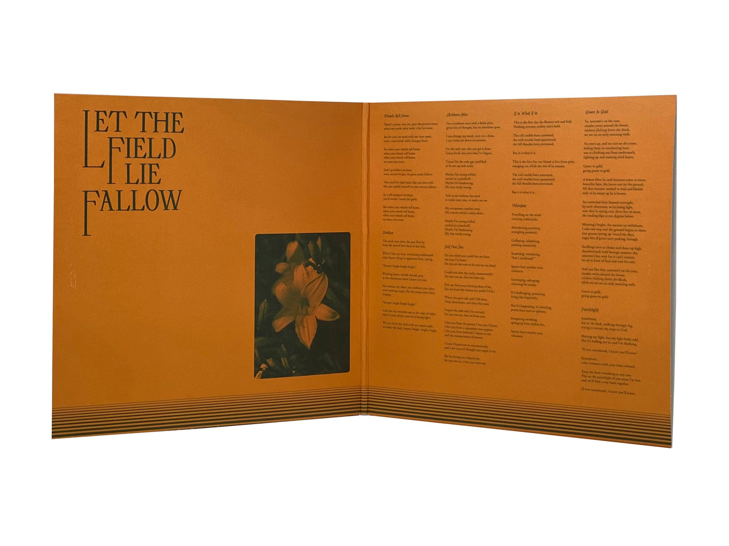 The Antlers - Green to Gold (Limited Edition Opaque Tan Colored Vinyl)