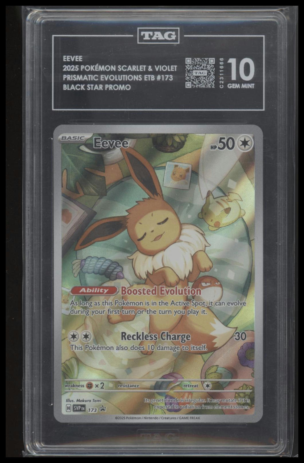 Eevee 2025 Pokemon Scarlet & Violet Black Star Promo #173 CGC Authenticated 10 Card