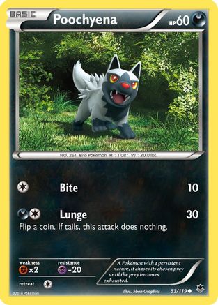 Poochyena 053/119 - XY Phantom Forces Reverse Holofoil