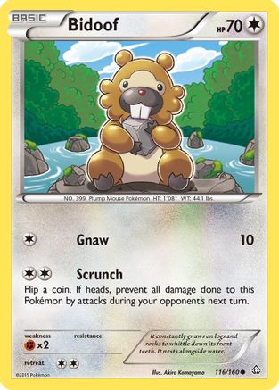 Bidoof 116/160 - XY Primal Clash Reverse Holofoil