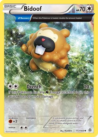 Bidoof (Alpha) 117/160 - XY Primal Clash