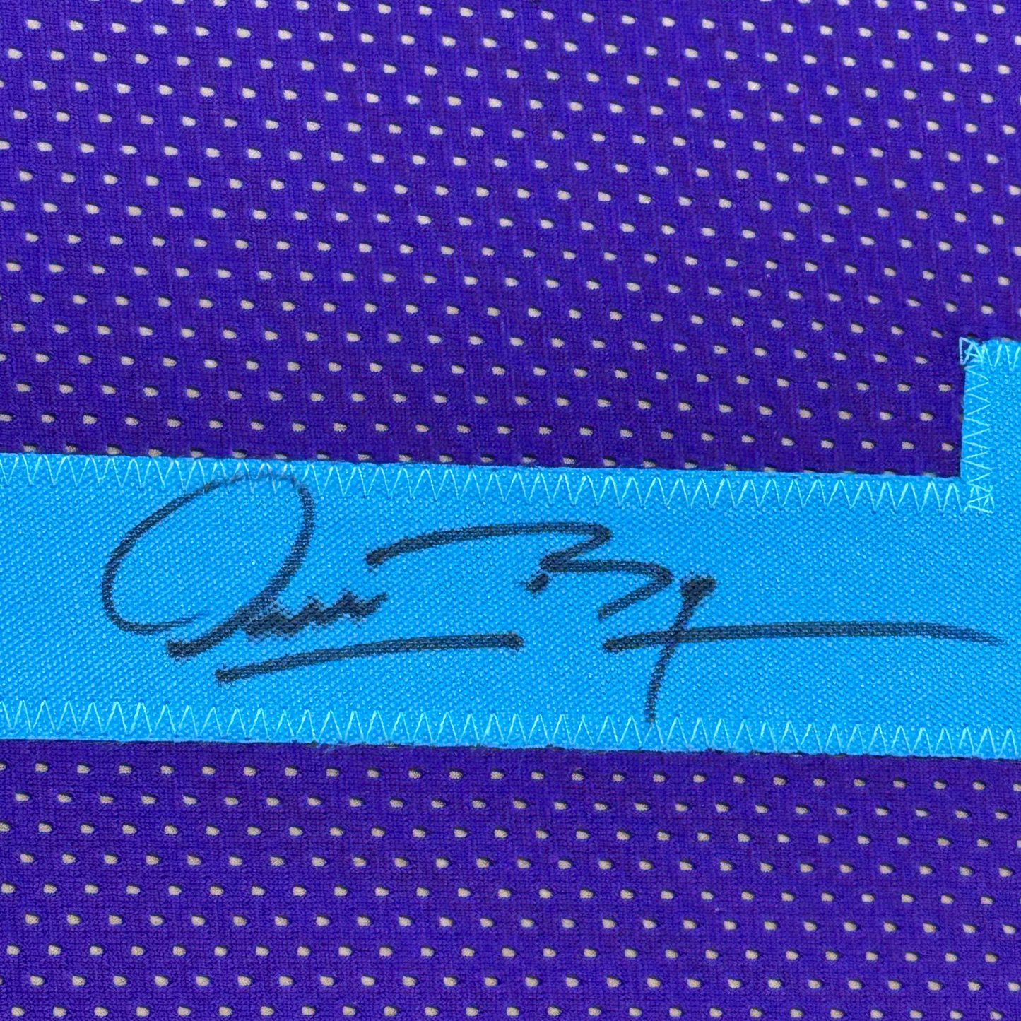 Framed Autographed/Signed Muggsy Bogues 35x39 Charlotte Purple Modern Basketball Jersey Beckett BAS COA