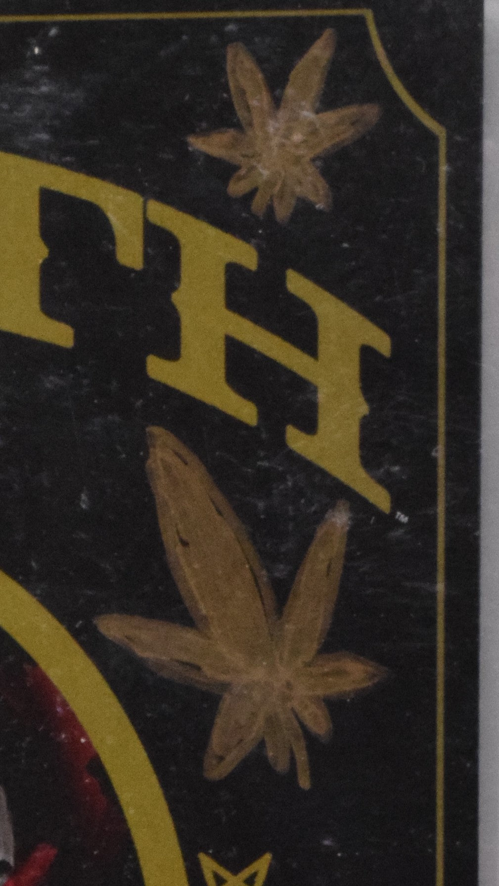 Department Of Truth 13 Image 2021 CGC SS Signed Remark Javan Jordan Chronic