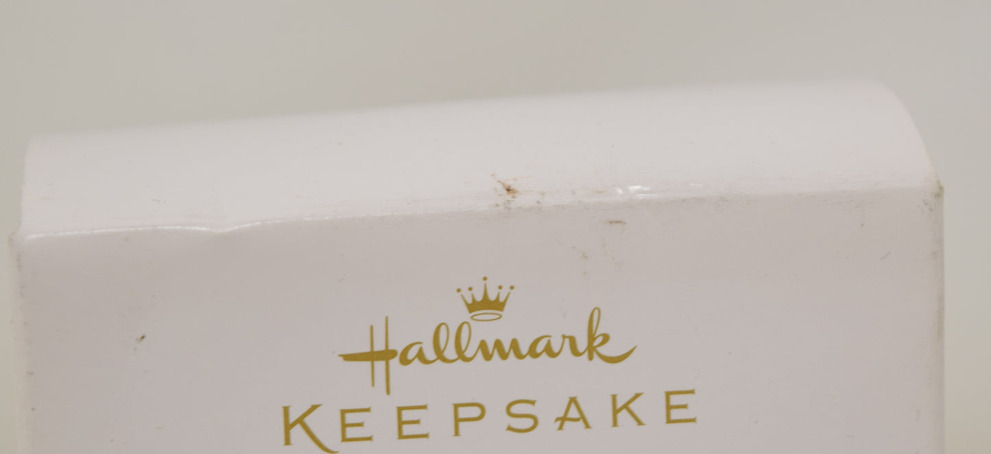 Hallmark Keepsake Ornament Packed For Fun Travel Bag Christmas Tree 2009 NIB