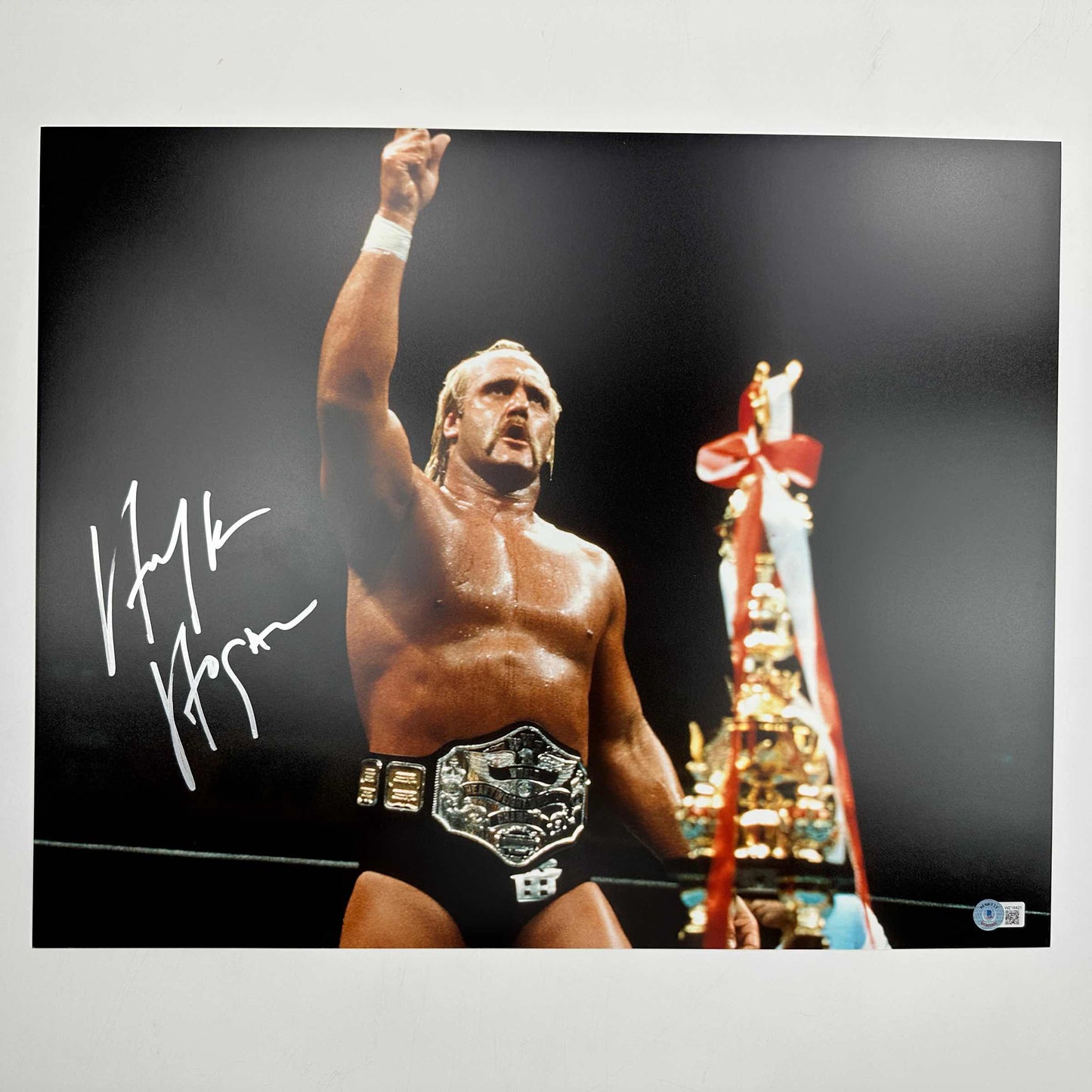Autographed/Signed Hulk Hogan 16x20 WWE WWF Hulkamania Wrestling Photo Beckett BAS COA #6