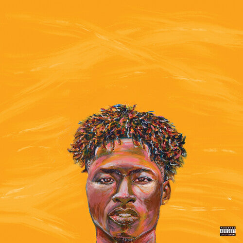 Painted (150 Gram Vinyl, Deluxe Edition) (Vinyl)