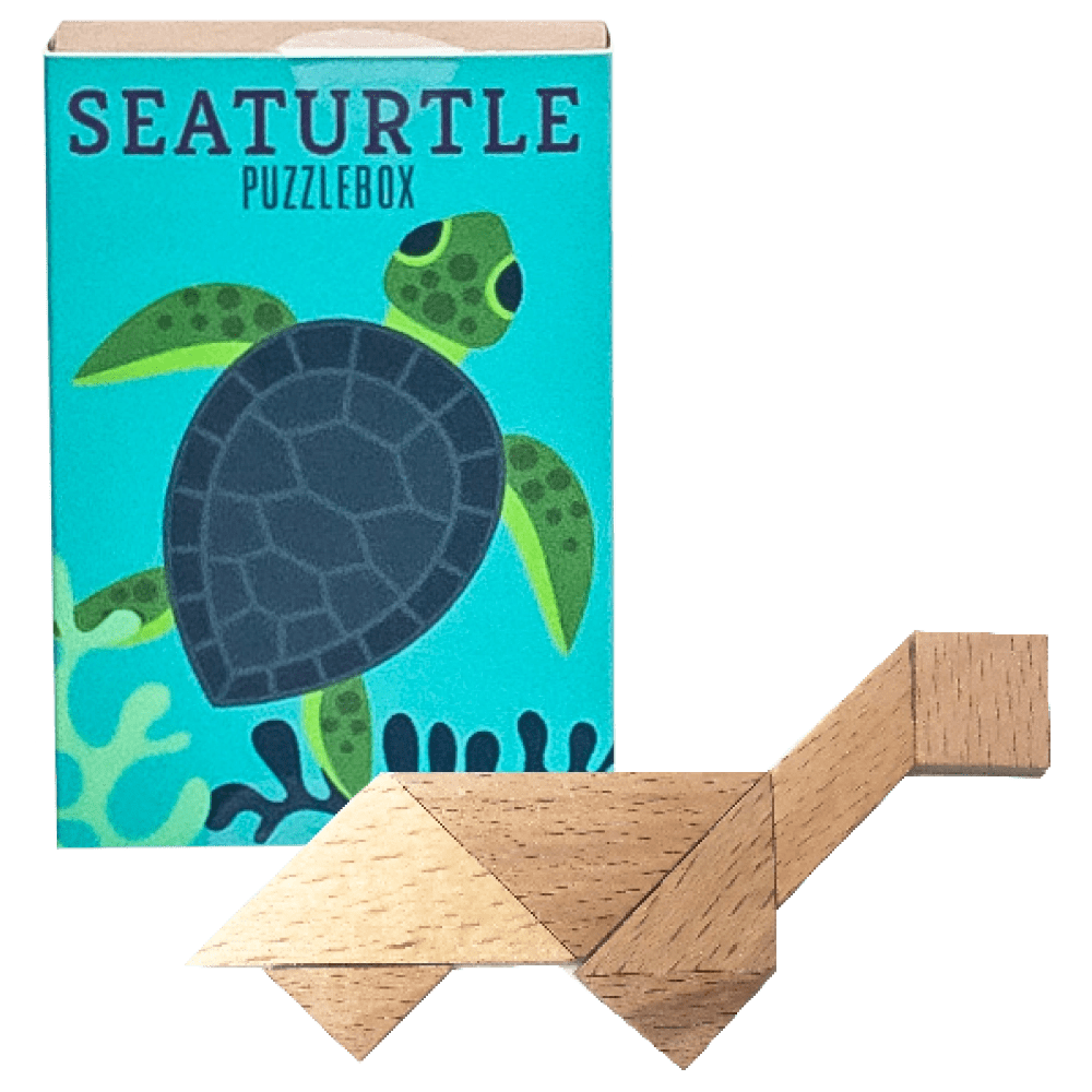 Matchbox Puzzle Box - Seaturtle