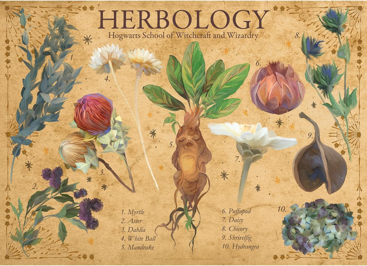 Aquarius Puzzles: Harry Potter - Herbology - Golden Apple Comics