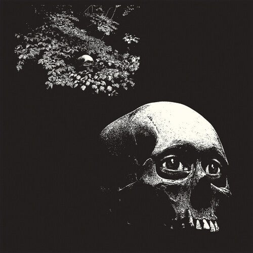 A Foul Form (Vinyl)