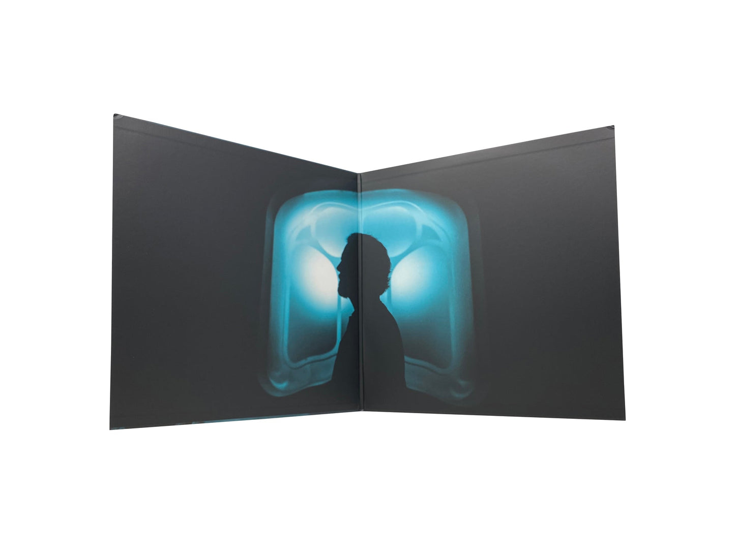 Eddie Vedder - Earthling (Indie Exclusive Translucent Blue/Black Marble Colored Vinyl)