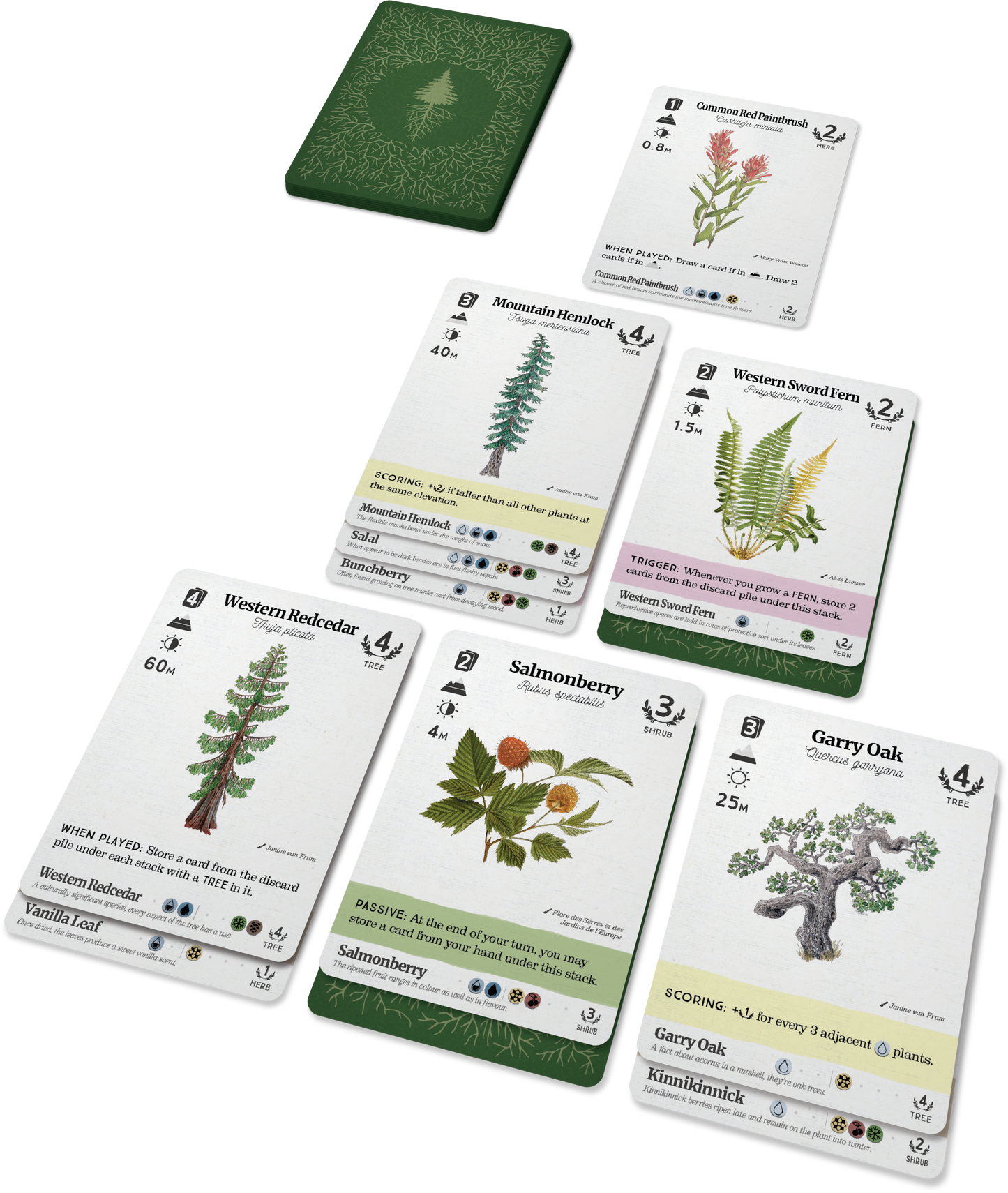 Reforest: Plants of the Pacific Northwest Coast - Golden Apple Comics