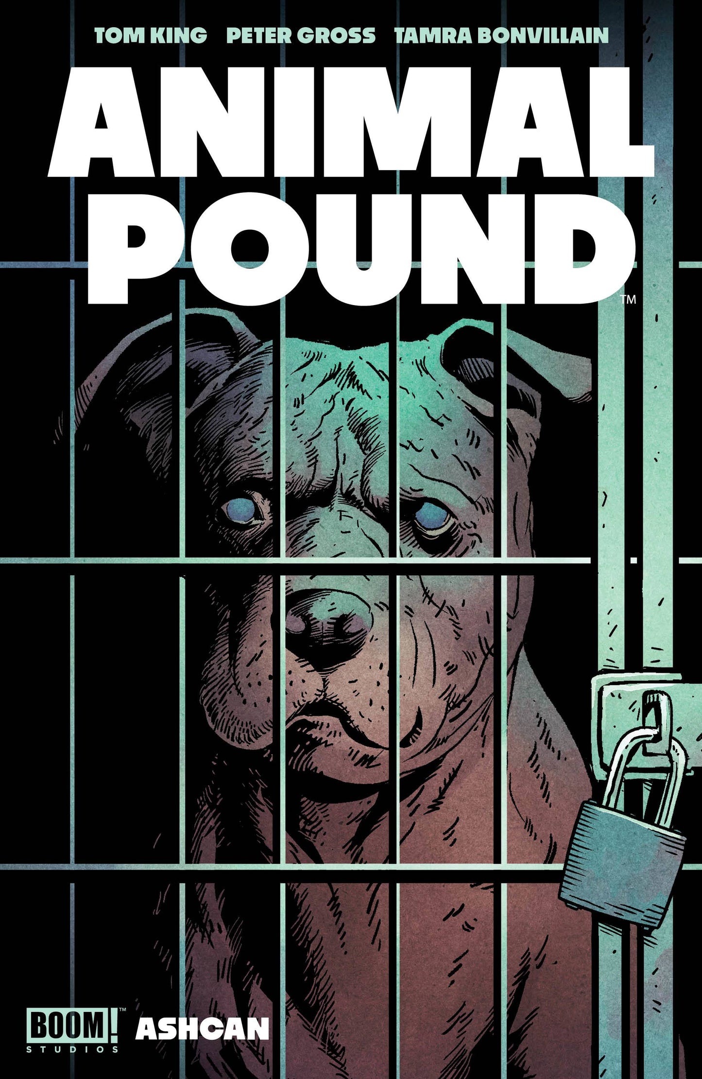Animal Pound A Ashcan Peter Gross Tom King (11/15/2023) Boom