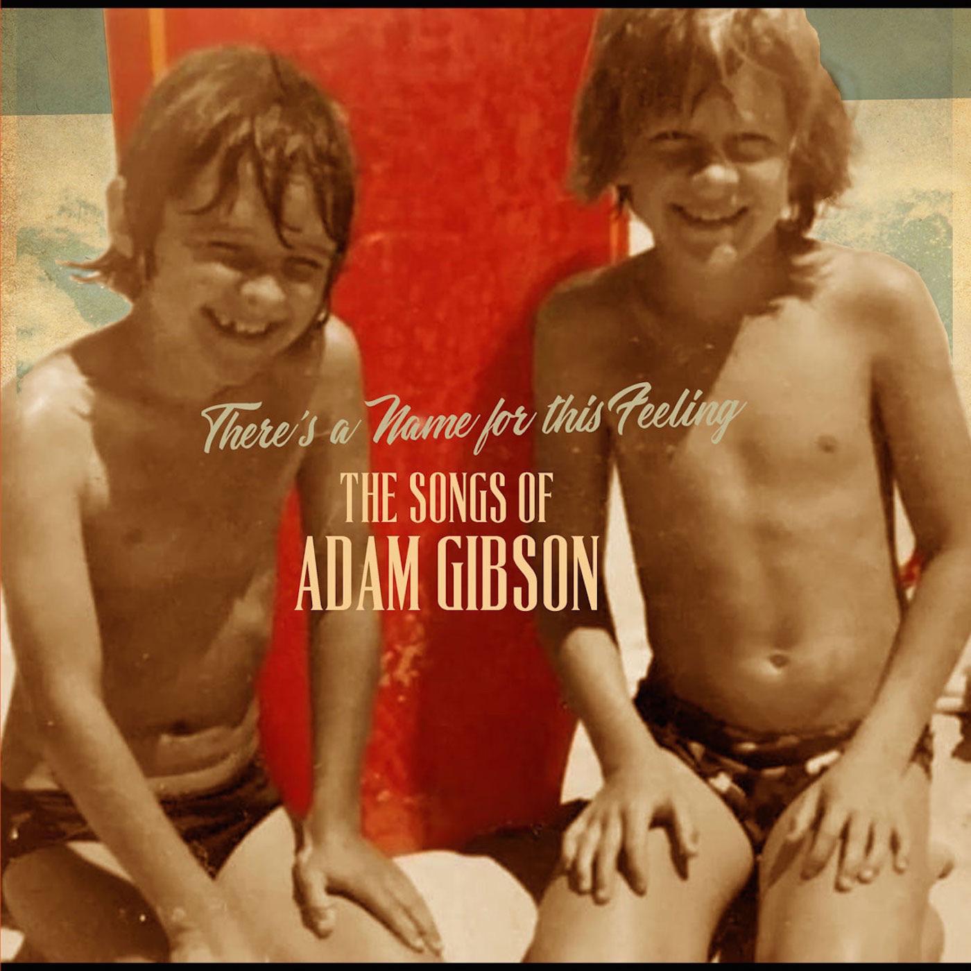 The Songs of Adam Gibson (Vinyl)