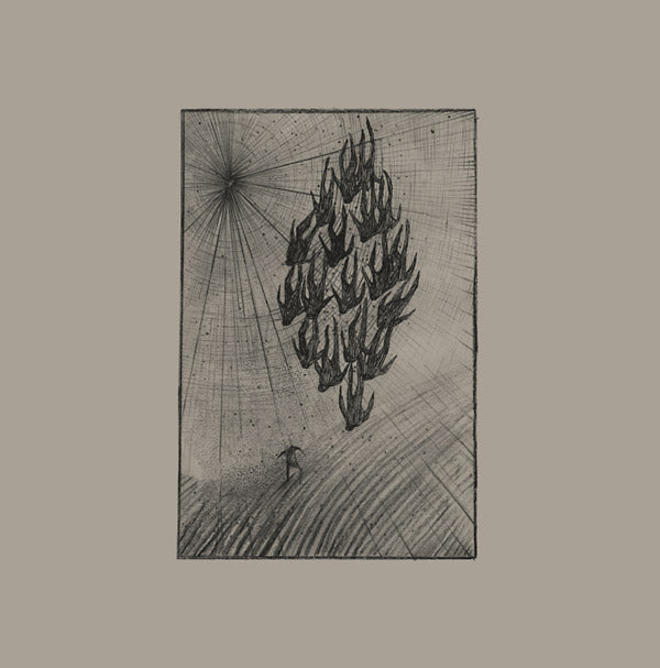 Locusts (Vinyl)