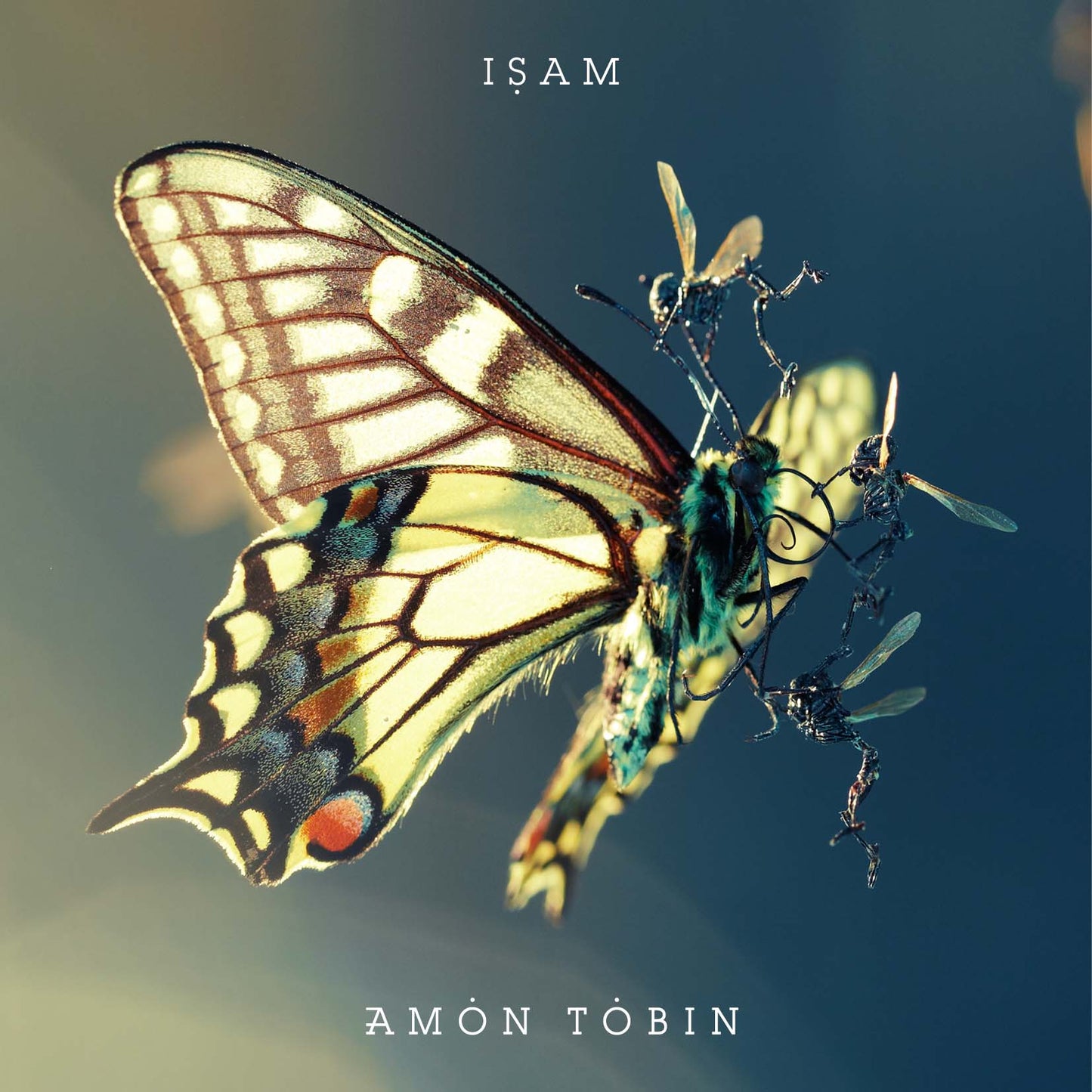 ISAM (Ltd Book & CD) (CD)