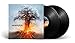 SKYFORGER (Vinyl)