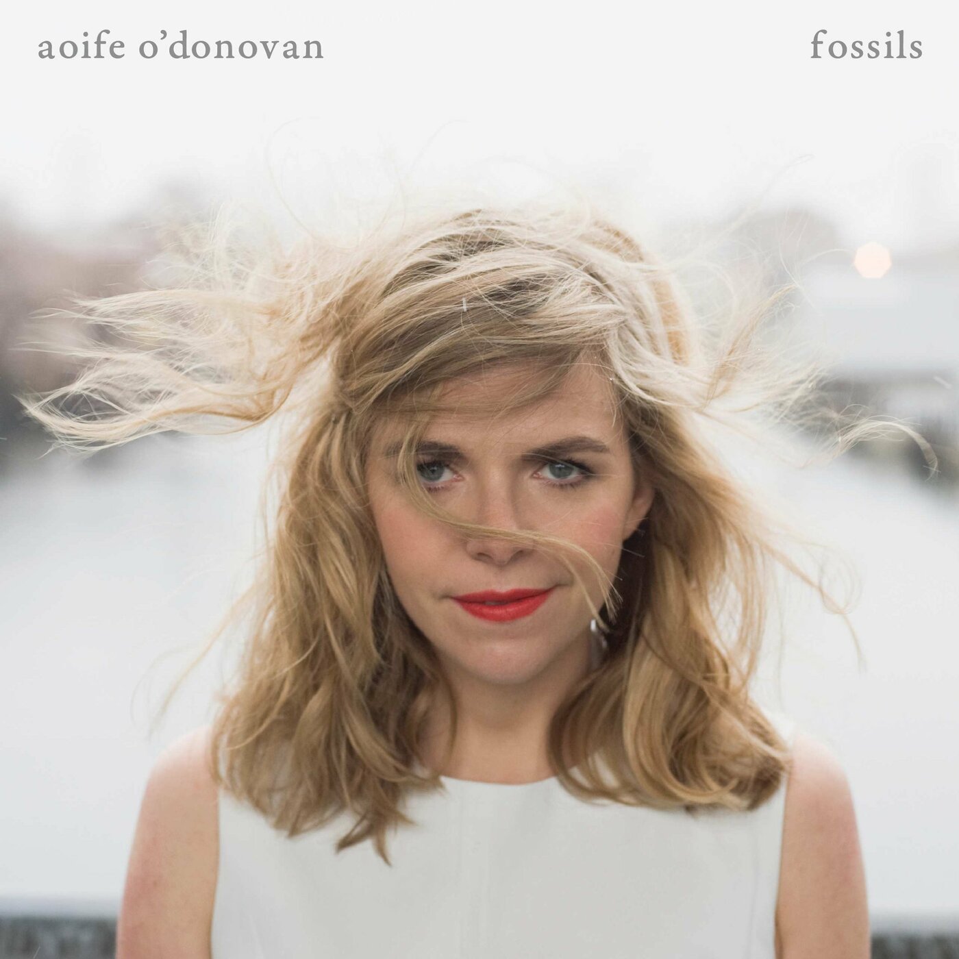 Fossils (CD)