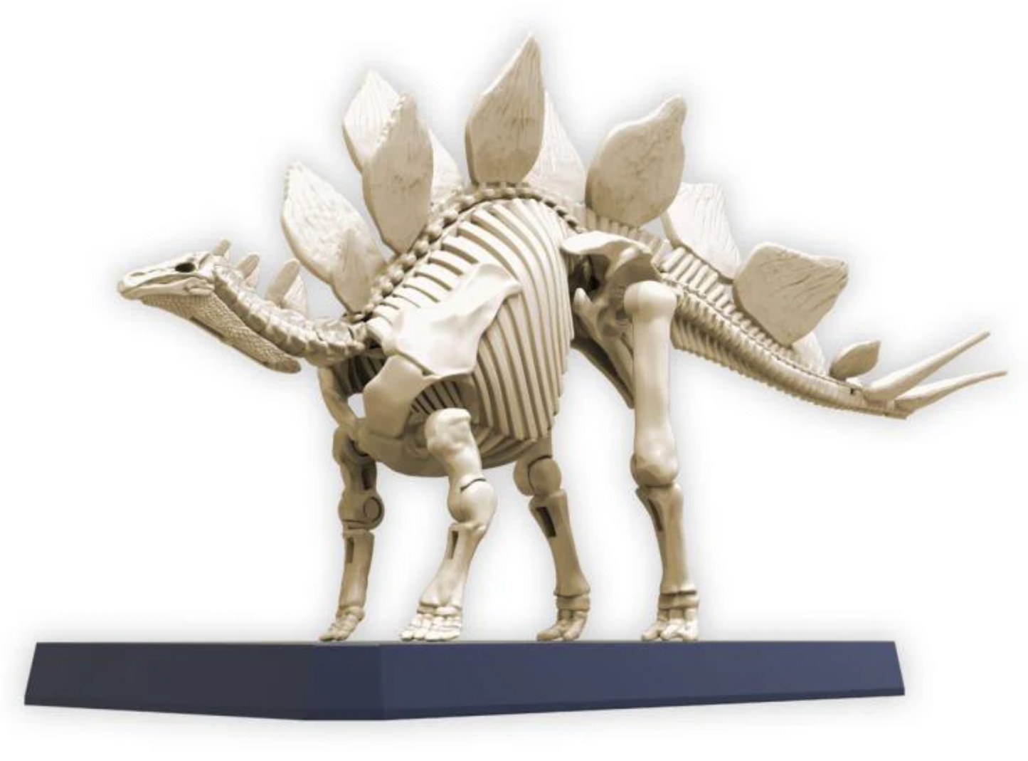 Bandai 2665826/5065110 Plannosaurus Dinosaur Series #03 Stegosaurus Snap Model Kit