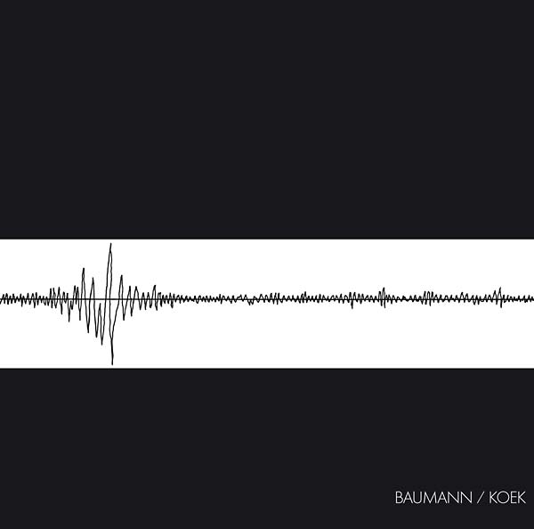 Baumann/Koek (Vinyl)