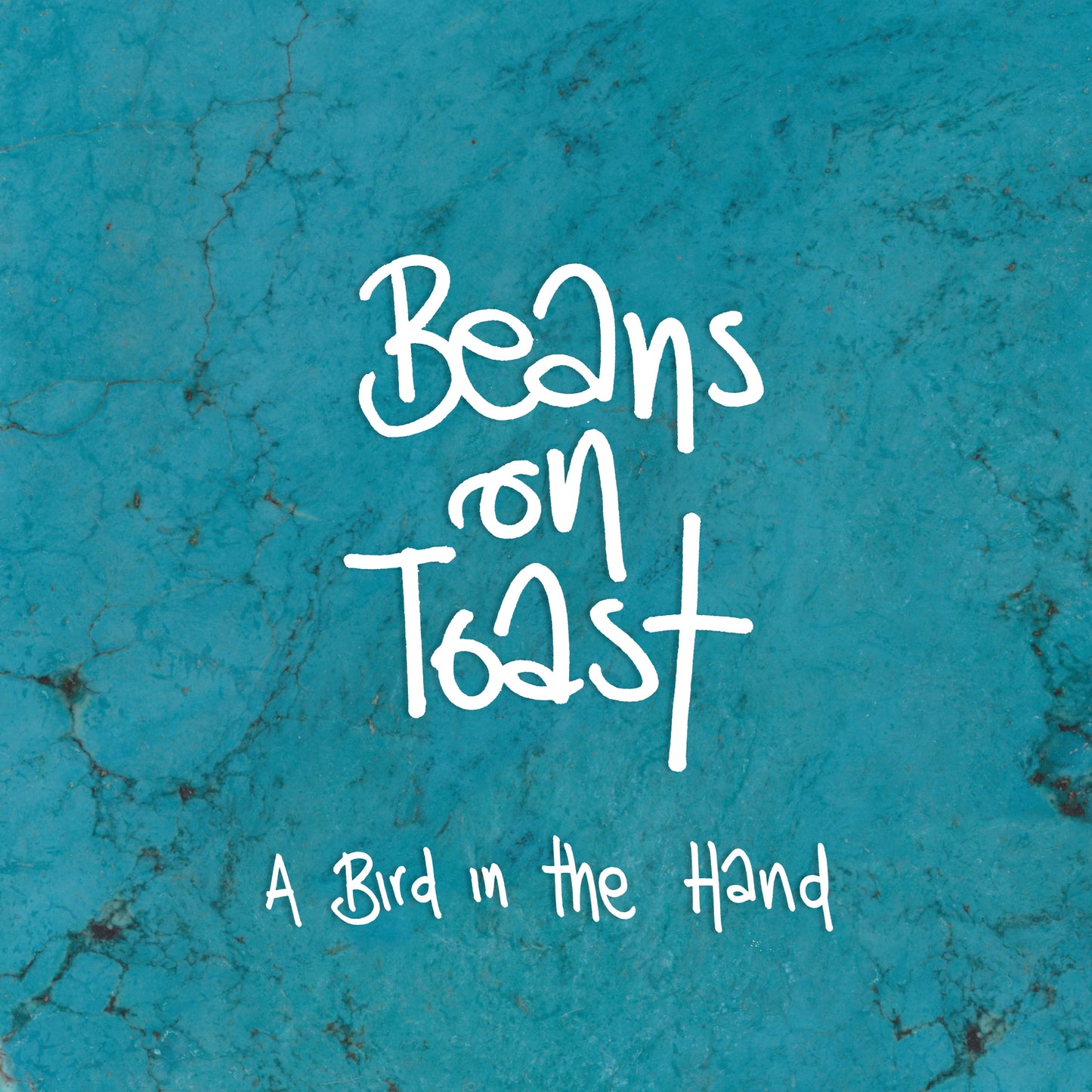 A Bird In The Hand (CD)