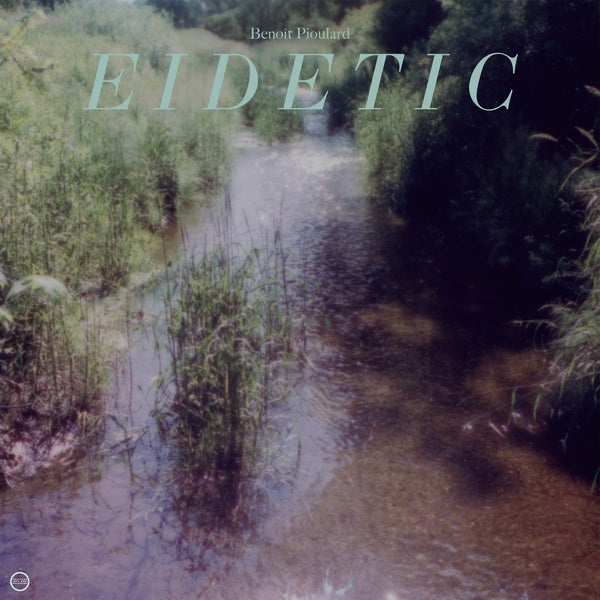 Eidetic (Vinyl)