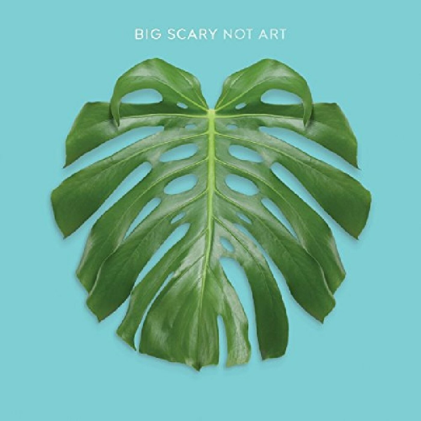 Not Art (Vinyl)