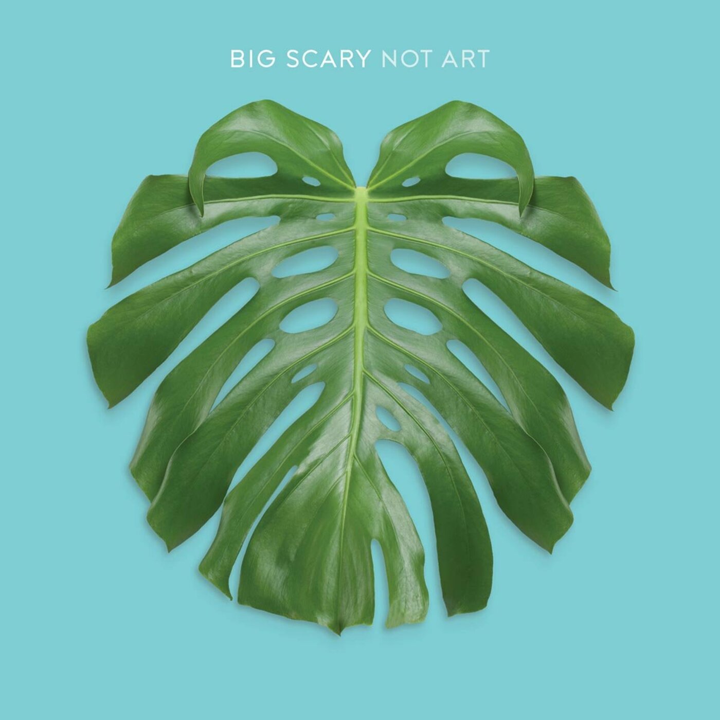 Not Art (CD)