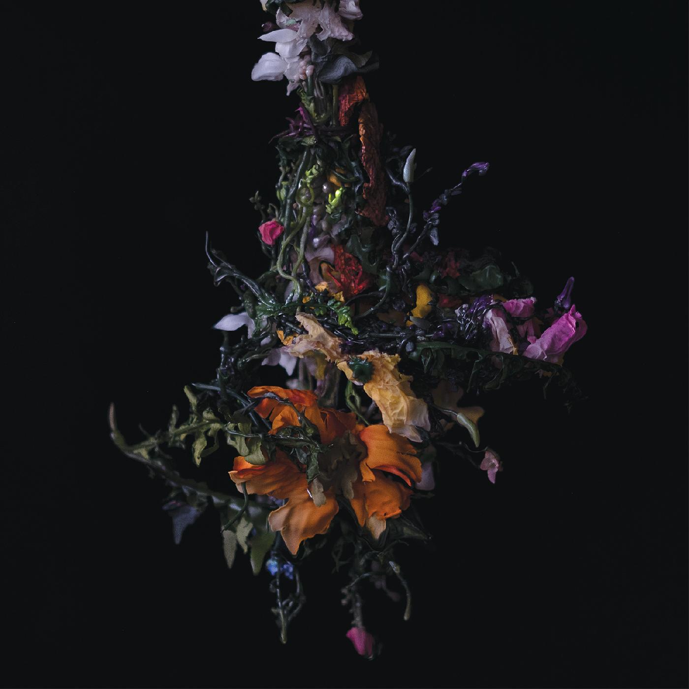 nature morte (CD)