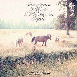 Sometimes I Wish We Were an Eagle (Vinyl)